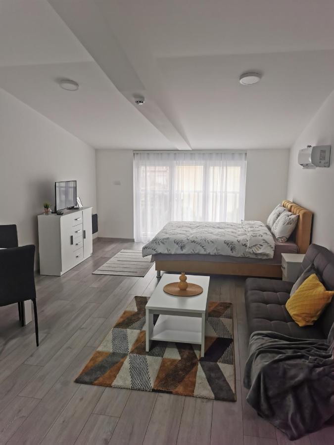 Studio Apartmani Баня-Ковиляча Экстерьер фото