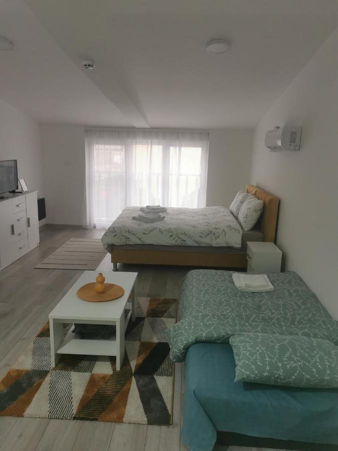 Studio Apartmani Баня-Ковиляча Экстерьер фото