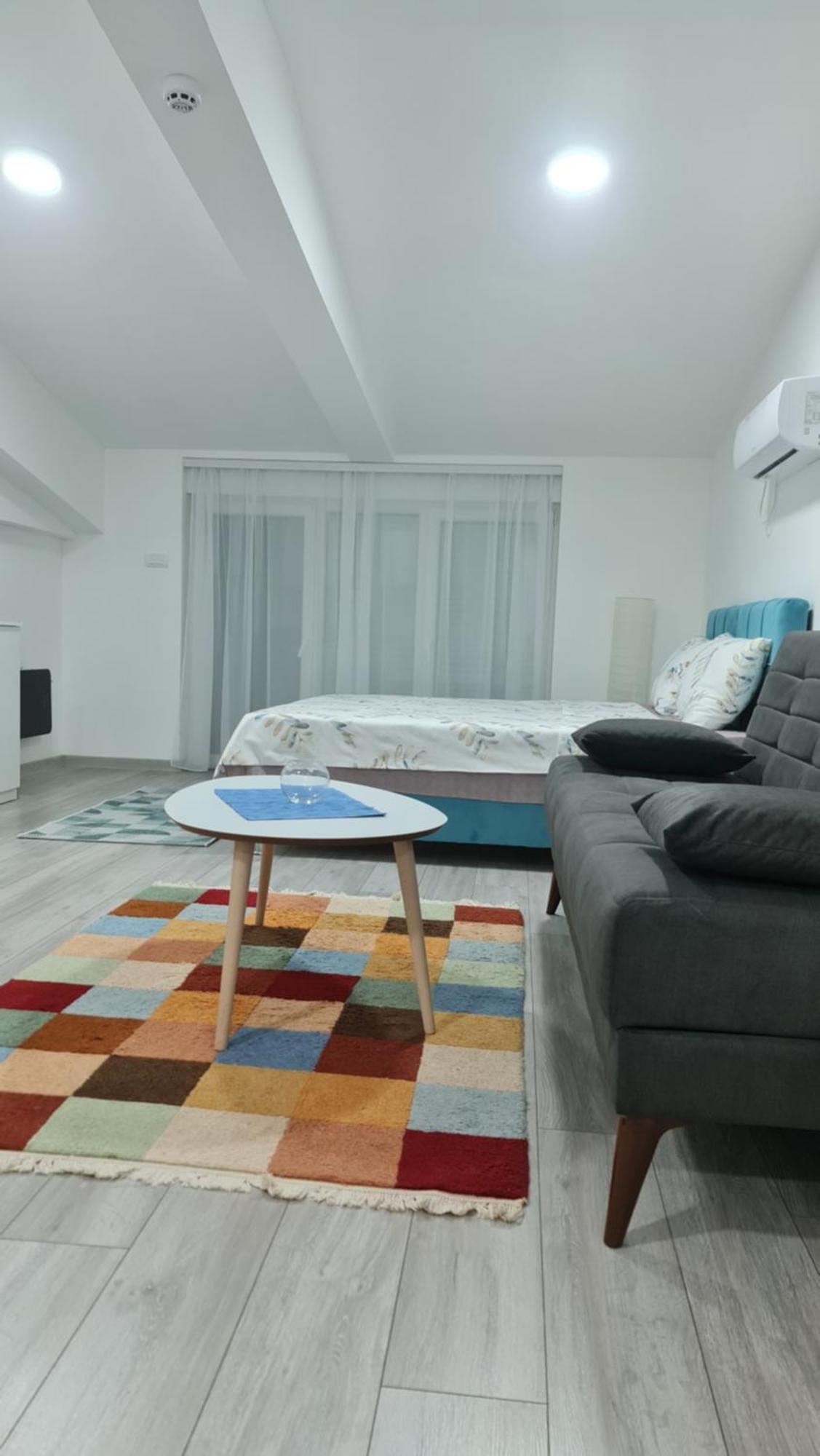 Studio Apartmani Баня-Ковиляча Номер фото