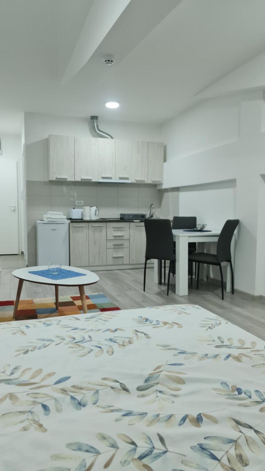 Studio Apartmani Баня-Ковиляча Номер фото